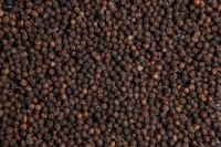 black pepper