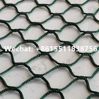 Custom Outdoor Polyester Knotless Net Golf Safety Netting Cricket Practice Net For Sport