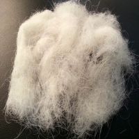 Wool Waste/ Noils