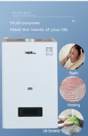 China Supplier High Efficiency Gas Water Heater Wall Mounted Heating Boiler Ms-1 24/28/32/36/40 Kw