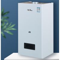 Wall Mounting Type Water Hetaing Smart Wifi Thermostat Gas Boiler Custom Balanced Exhaust Combi Boiler Central Heating