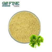 Algae DHA Powder