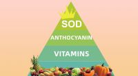 Sod Superoxide Dismutase