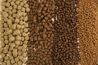 Selling Fish Feed, Fish Meal, Poultry Meal for Fish Feed