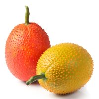 Selling Fresh Gac fruit 