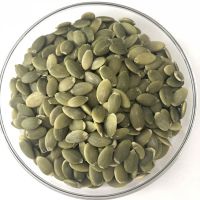 Selling wholesale Pumpkin Kernels / Pumpkin Seeds (Best Offer)