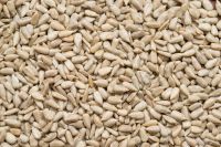 Selling flavored walnut, spiced, caramel roasted sunflower seeds