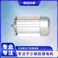 Special motor for experimental instruments