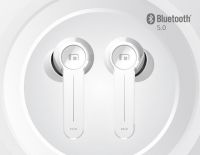 Solo Earbuds