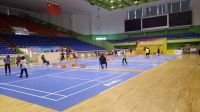 professional badminton flooring with BWF certification