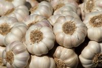Gourmet Gold Garlic - The Flavor Sensation