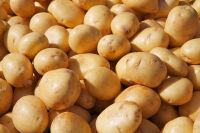 Gourmet Gold Irish Potatoes - The Creamy Delight