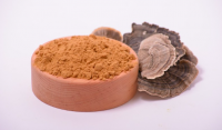 Turkey Tail Mushroom Extract In Powder (50%polysaccharides)