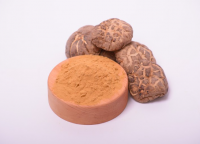 Shiitake mushroom extract in powder (50%polysaccharides)