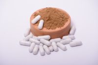 Reishi Mushroom Extract In Powder (50%polysaccharides)
