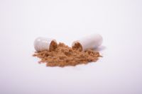 Reishi mushroom extract in powder (50%polysaccharides)