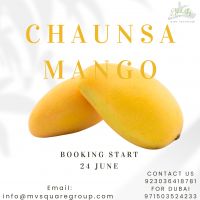 Chaunsa Mango