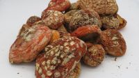 Amanita Muscaria Dried Caps (mushroom)