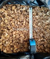 Dried Cantharellus mushrooms (Cantharellus cibarius fruit bodies)