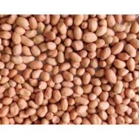 Bold Peanuts