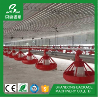 The most popular chicken farming equipment in the Middle East, quality guaranteed.