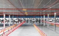 Poultry farming water line