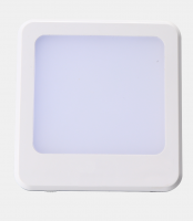 Dimmable Automatic sensing night light