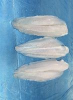 Pangasius Fillet Well-trimmed