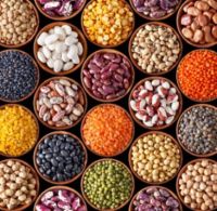 Beans and pulses 