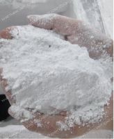 Coated Uncoated Calcium Carbonate Powder CaCO3