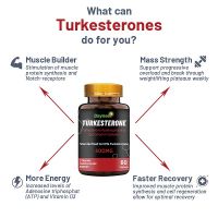 Turkesterone Capsules the high-quality supplement to help support athletic performance and muscle recovery