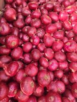 Red Onion