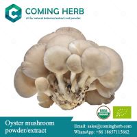 Oyster mushroom extract, Oyster mushroom beta glucan, Oyster mushroom powder, Pleurotus ostreatus extract, Pleurotus ostreatus powder, Organic Oyster mushroom extract