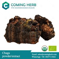 Chaga extract, Chaga beta glucan, Chaga powder, Inonotus obliquus extract, Organic Chaga extract
