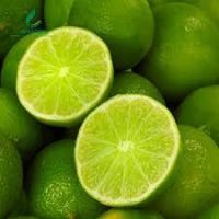 Lime, fresh seedless lime