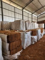 Coco Peat by faldiagroglobal[@]gmail[.]com