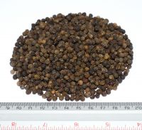 Vietnamese Black Pepper 550 G/L