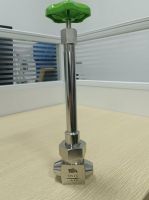 Cryogenic EP Grade Bellows Seal Globe Valve for LH2 liquid hydrogen