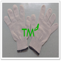 https://ar.tradekey.com/product_view/High-Quality-Seamless-10-Gauge-Cotton-Knitted-Industrial-Cotton-Gloves-10175149.html