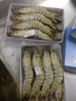 Frozen Blacktiger Shrimp export from Vietnam