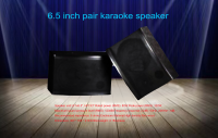 pro karaoke speaker S-06