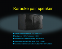 pro karaoke speaker PK-80(1*8" 100W)