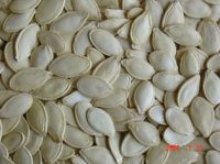 https://www.tradekey.com/product_view/Best-Shine-skin-Pumpkin-Seeds-10201967.html