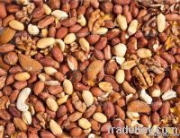 Quality Almond  Apricot Kernels  Betel Nuts  Brazil Nuts  Cashew Nuts  Chestnu