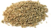 Best Anise seed 