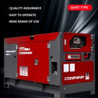 Diesel Generator Set (silent) 10-200kw(ricardo Diesel Set)
