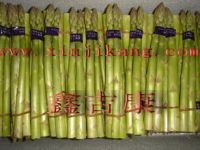 https://jp.tradekey.com/product_view/Fresh-Asparagus-453699.html