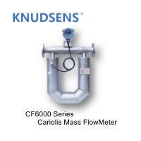 CF6000 Coriolis Mass Flow Meter