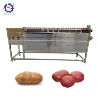 Industrial Brush Type Potato Peeling and Root Vegetable Washing Machine