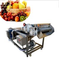 High quality vegetable and fruit air bubble washing machine okra washing machine with ozone part